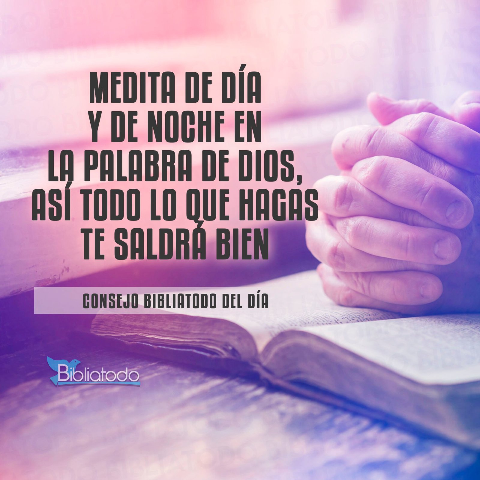 Medita la Palabra de Dios de día y de noche