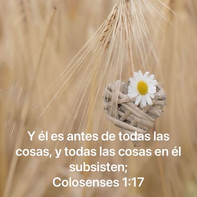 Testimonio: Tu cuerpo tiene 37 billones de células. Ninguna se sostiene sola