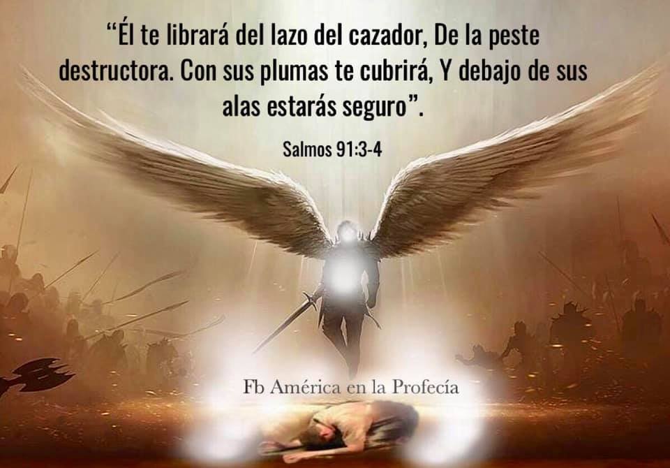 Refúgiate bajo las alas de Dios