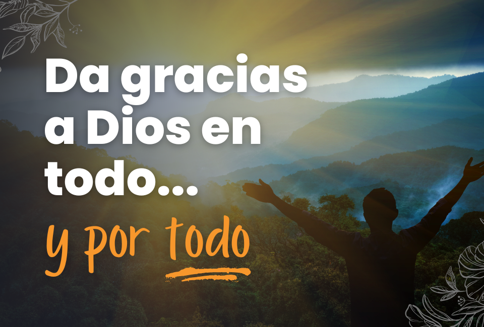 No dejes de agradecer: todo es un milagro