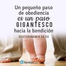 La obediencia que da fruto