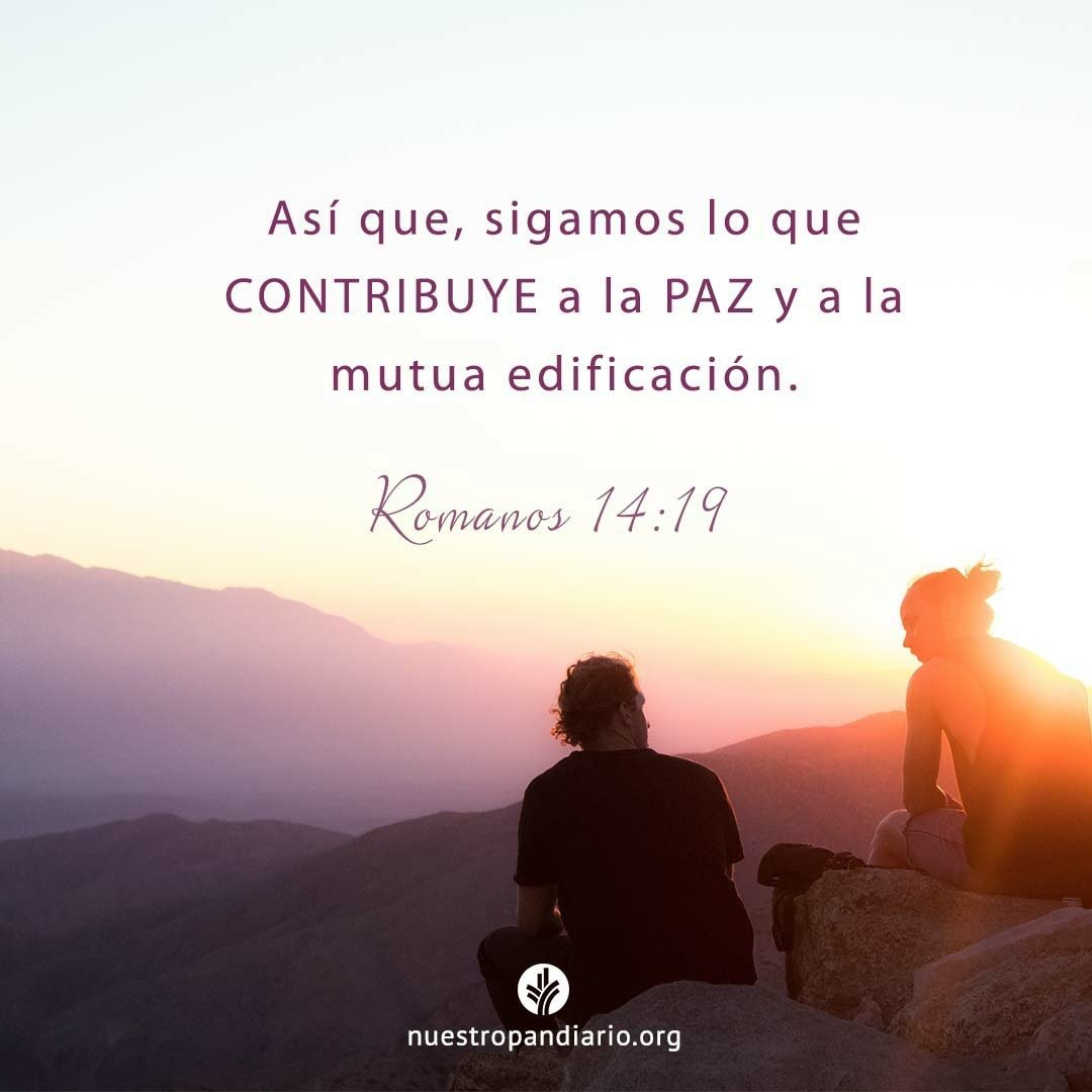 Seamos sembradores de paz