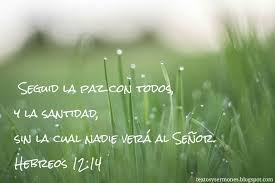 Busca la paz y síguela