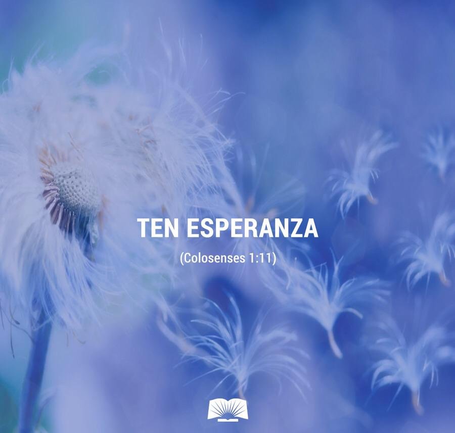 Ten esperanza, Su plan es mejor que el tuyo