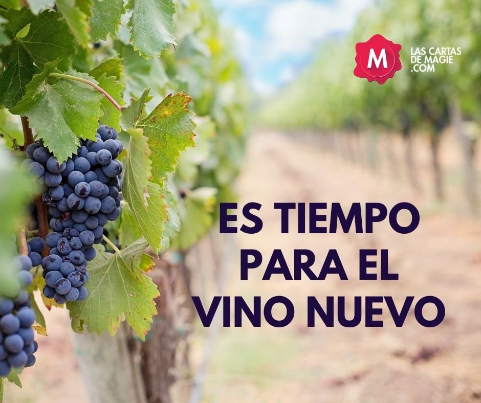 ¿Qué significa “nadie echa vino nuevo en odres viejos”?